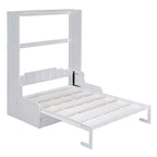 Modern Queen Size Multi-function Murphy Bed with Cushion